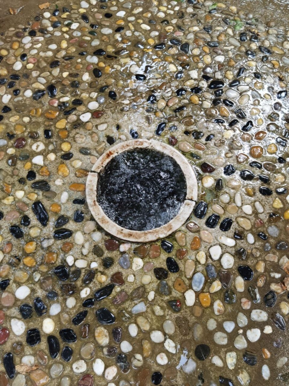 带娃好去处-灵慧山风景区游玩 怀柔的灵慧山,离市中心不远,人很少,有