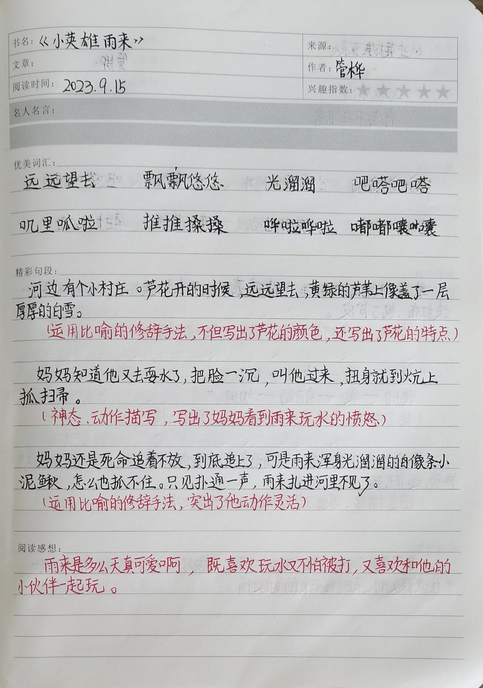 《小英雄雨来》读书笔记