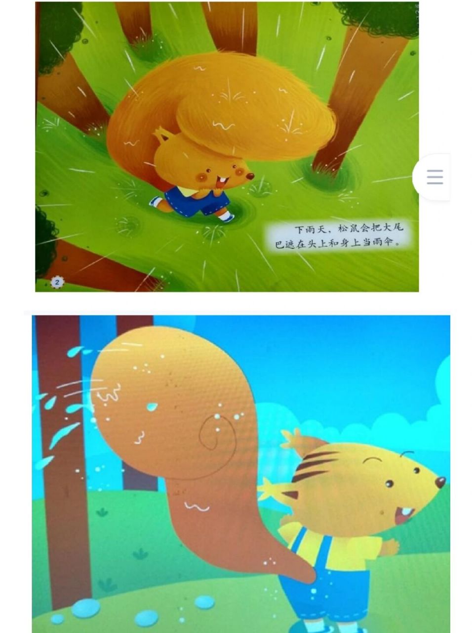 幼师必备,幼儿园公开课《小松鼠的伞》 小班语言《小松鼠的伞》 99