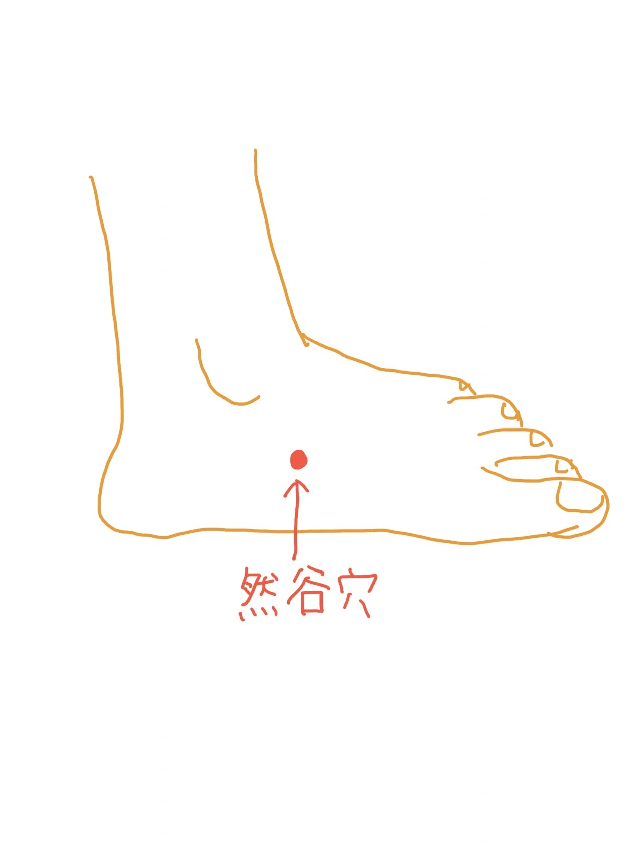 胰岛素抵抗|糖尿病专用穴位 位于脚上的一个穴位,然谷穴 对于糖尿病有