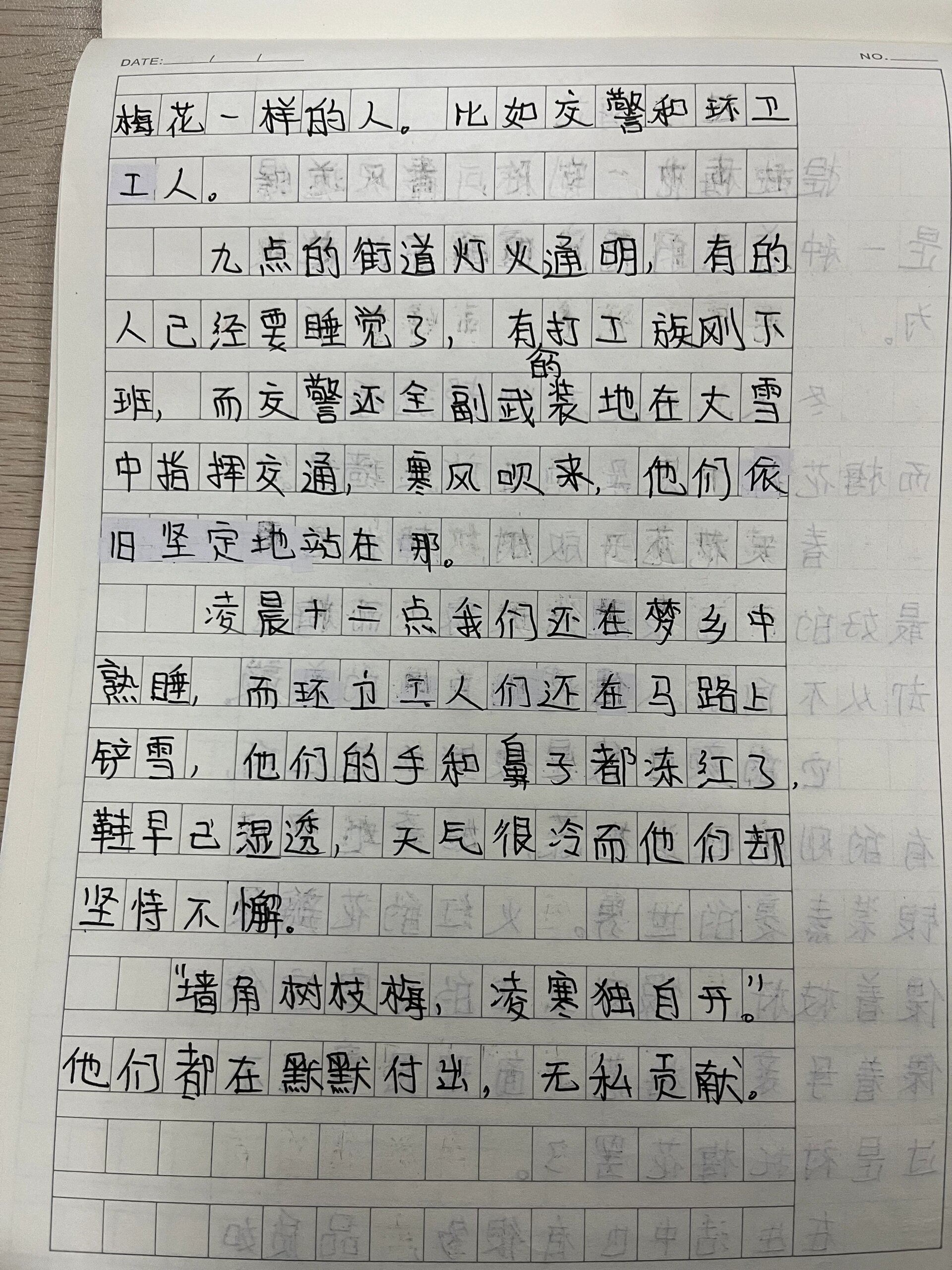 梅花的样子作文图片