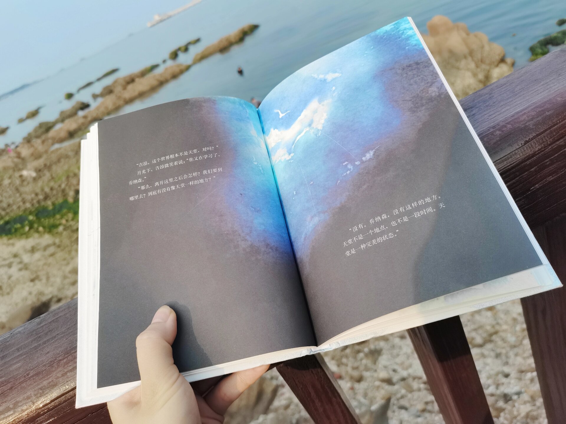 一部自由的终极寓言 98书籍:《海鸥乔纳森》 作者:理查德·巴赫
