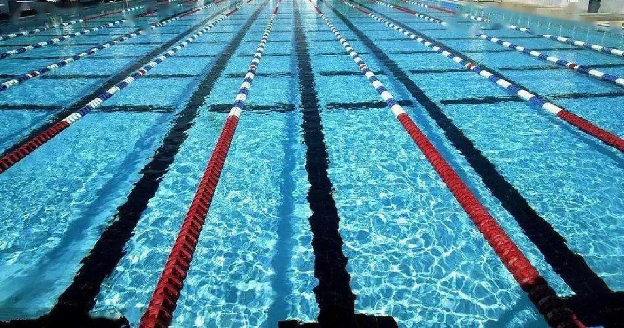不是只有"抓" 泳池中都有隔离泳道用的水线(学名