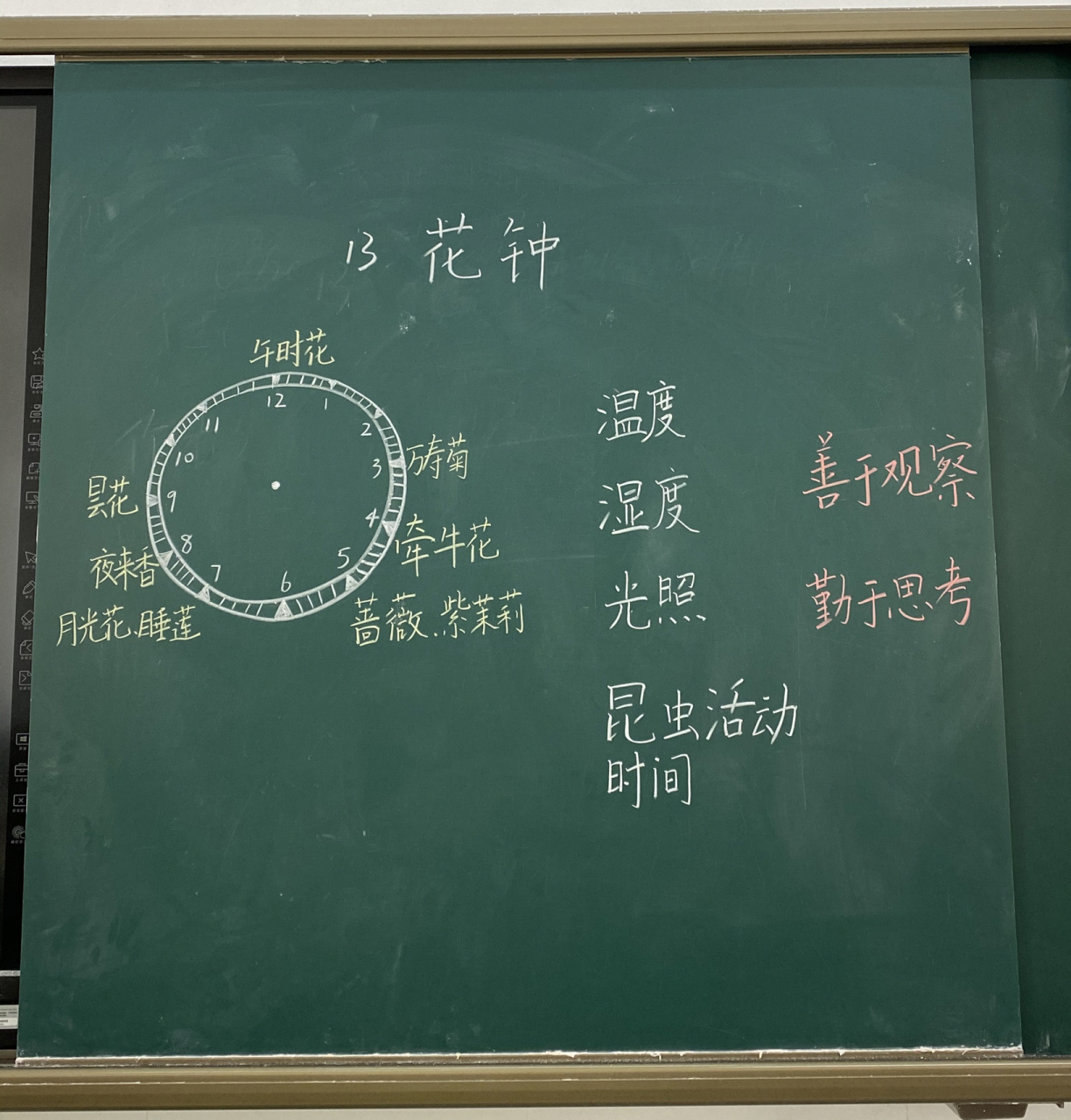 花钟板书设计～ 本课教学重点抓住第一段的写法～ 11566时间(抓住