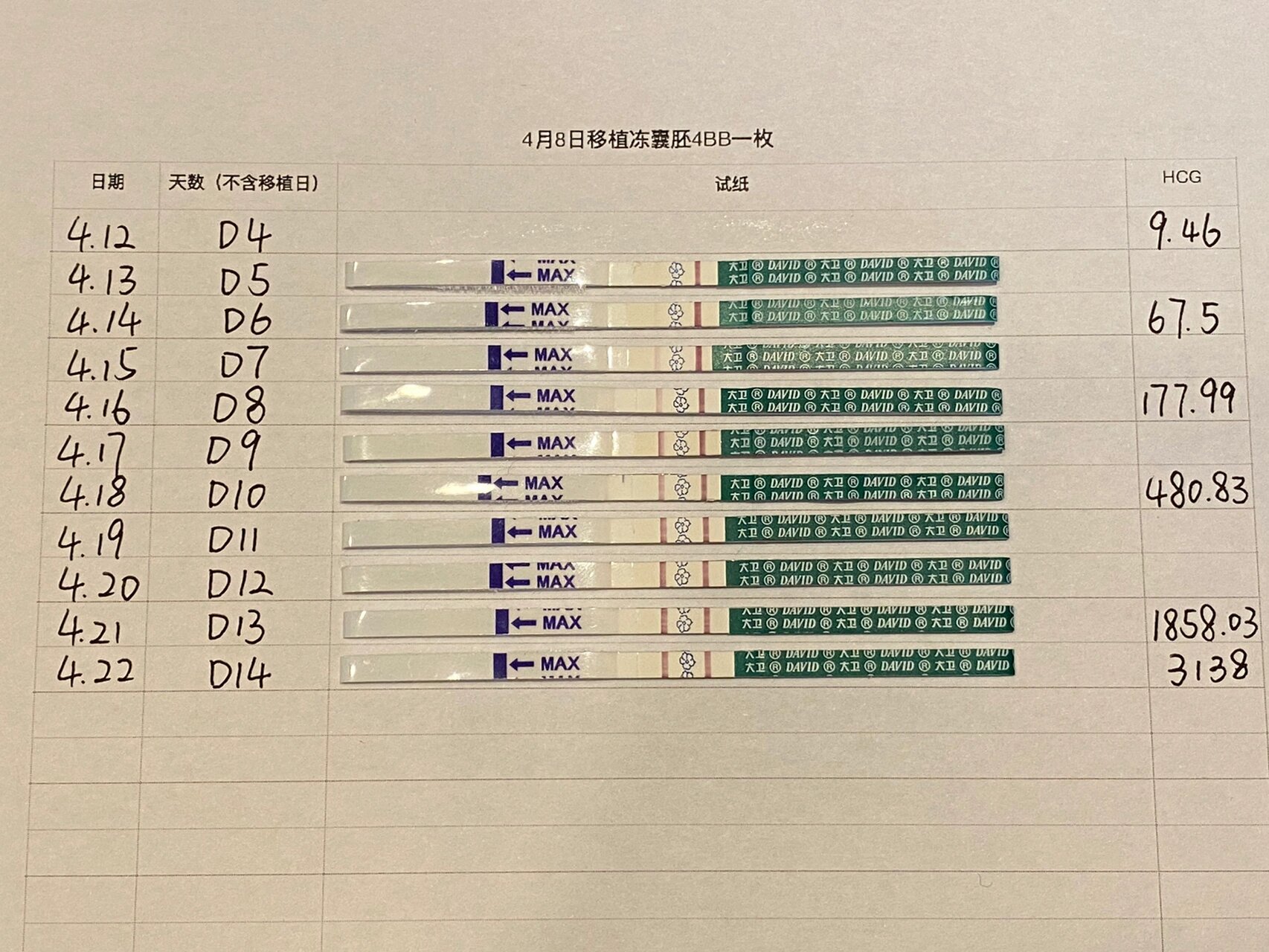 囊胚移植金秀儿90大卫98早孕试纸90hcg对照 4月8日移植第五天的