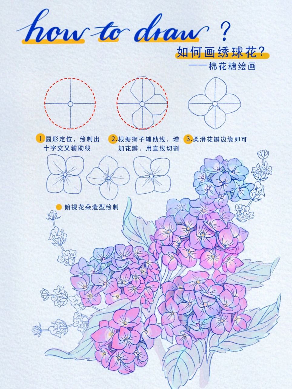 如何画绣球花|线描速写手绘教程|绘画过程 95how to draw?