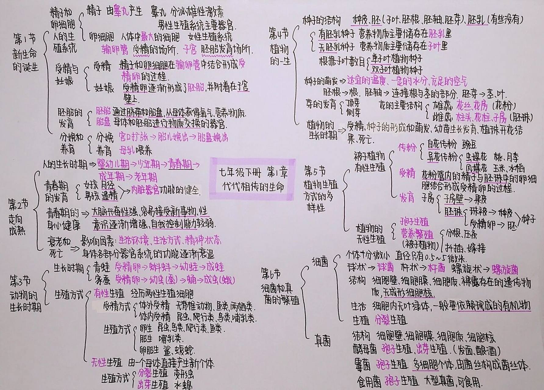 浙教版 七下科学 第一单元思维导图