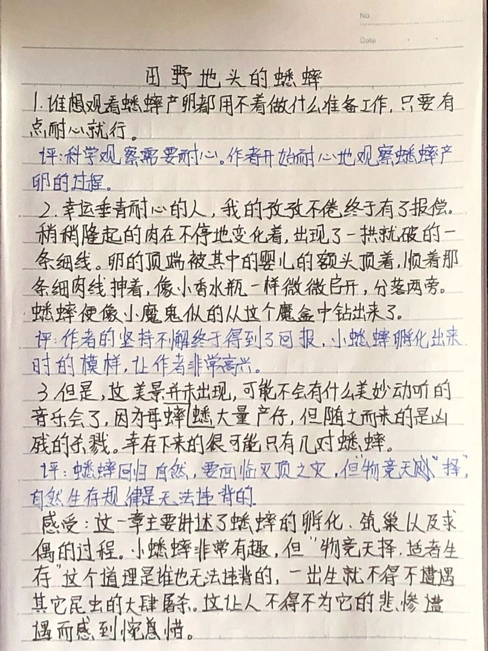 昆虫记读书笔记  第十六章 田野地头的蟋蟀