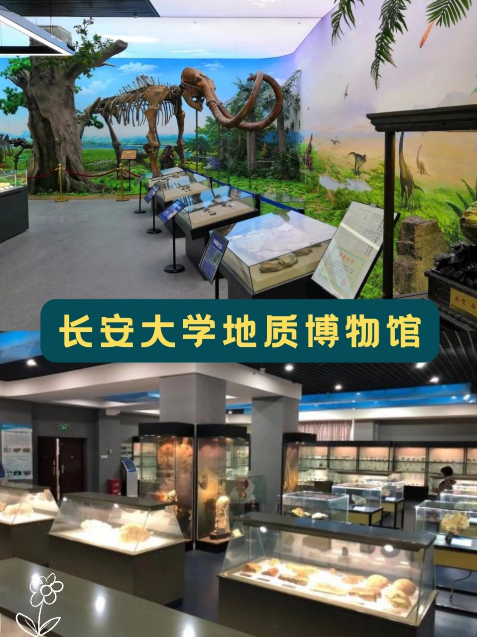 盘点西安藏在高校里的博物馆‼️宝藏又免费  西安作为"博物馆之