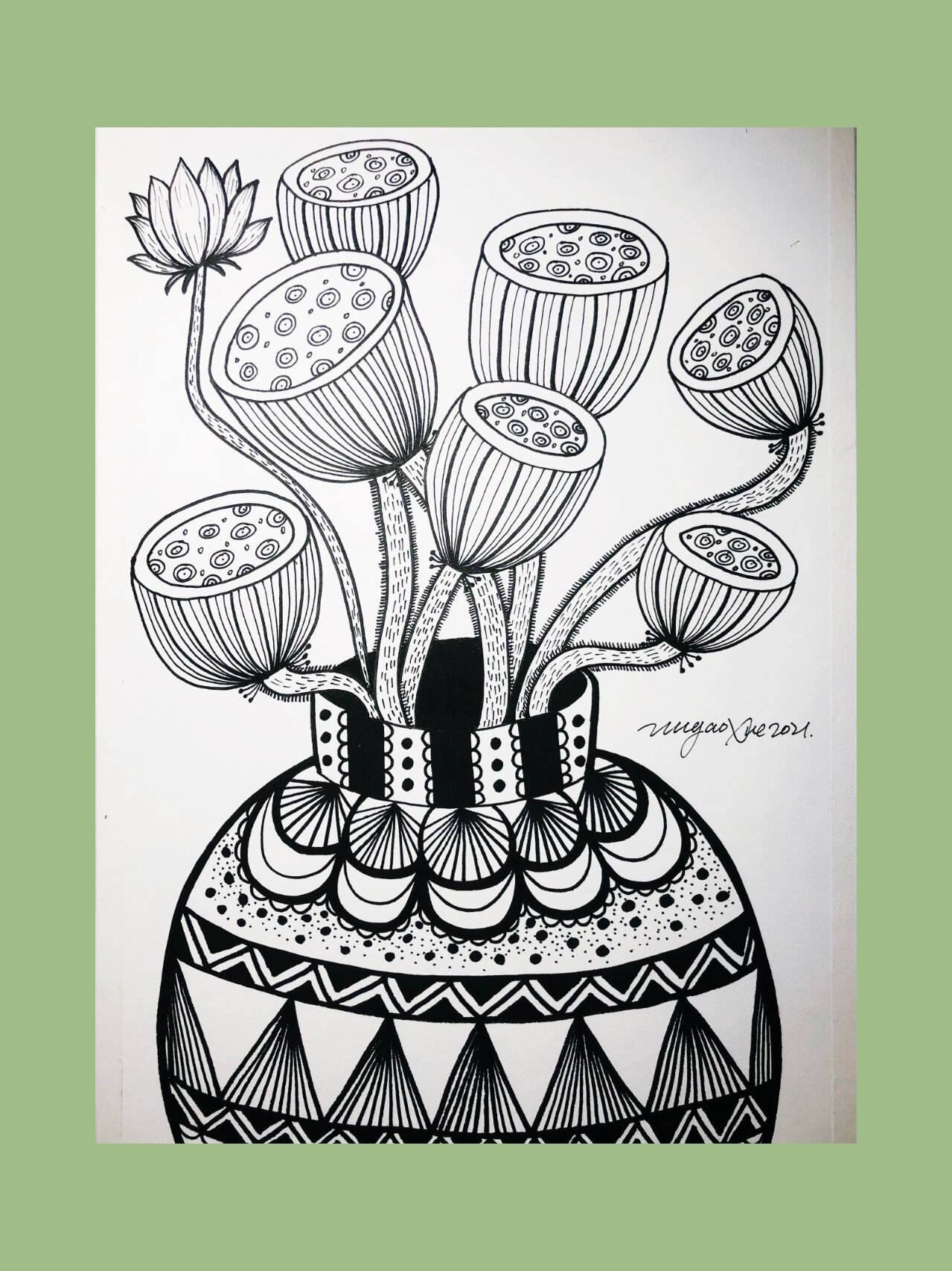 线描画《莲蓬》