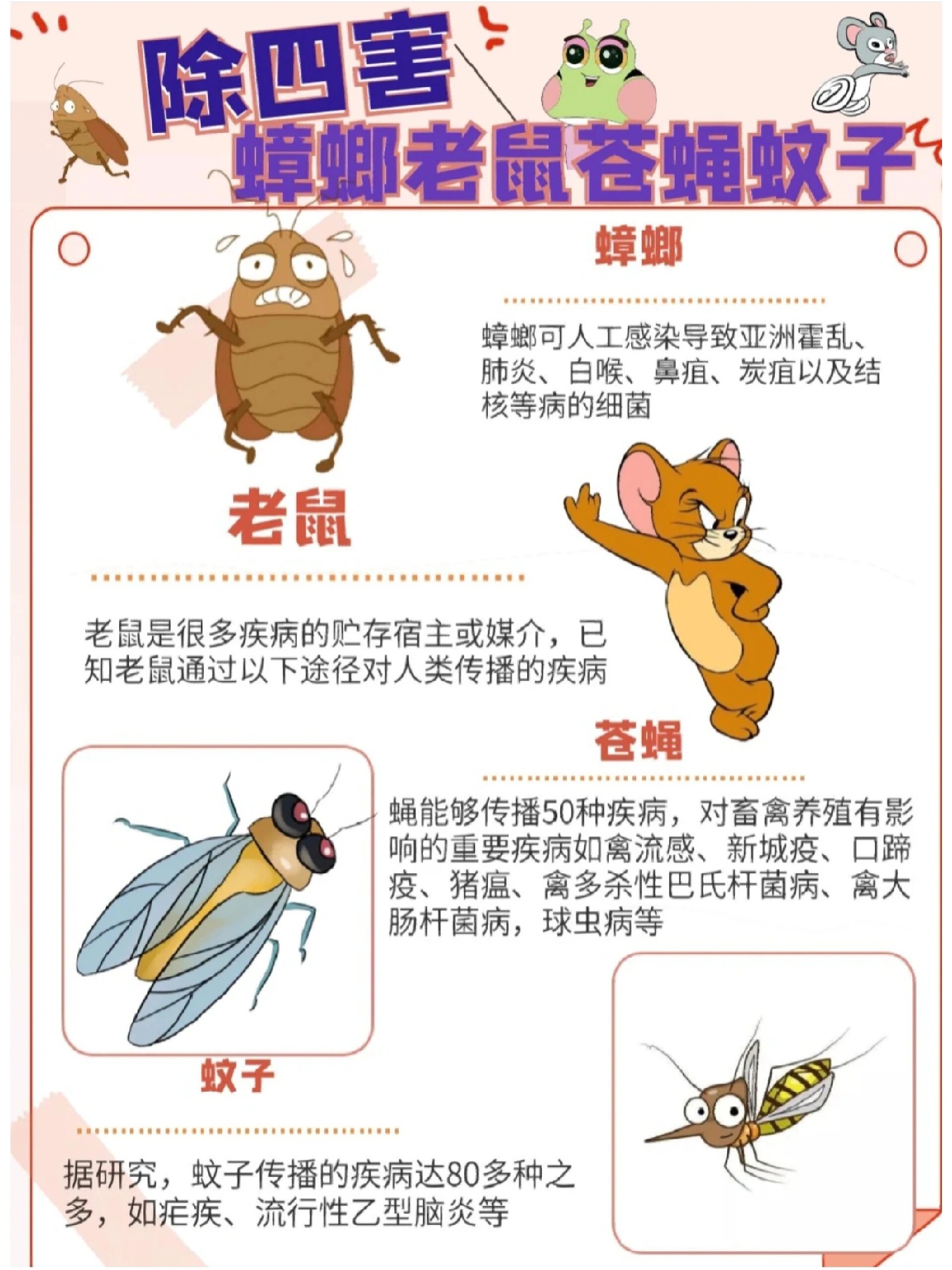老鼠传播鼠疫,流行性出血热等 苍蝇传播霍乱,痢疾,伤寒,病毒性肝炎等