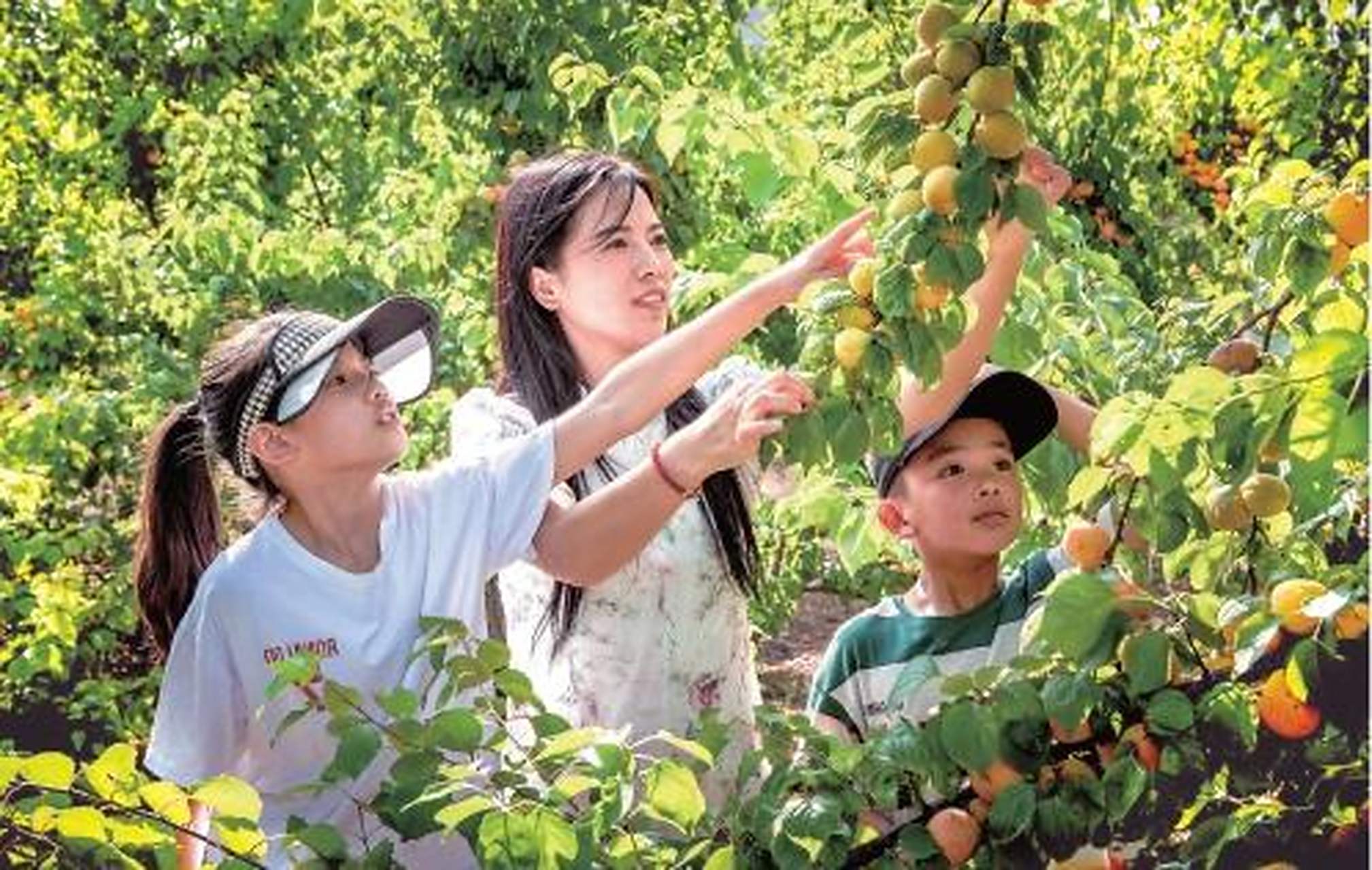 江苏省连云港市灌云县伊山镇山前村地处国家aaaa级景区大伊山下,近年