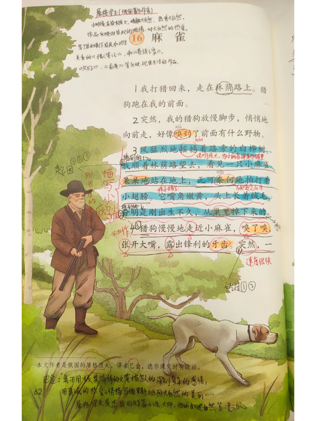 四年级上册语文课堂笔记16课麻雀