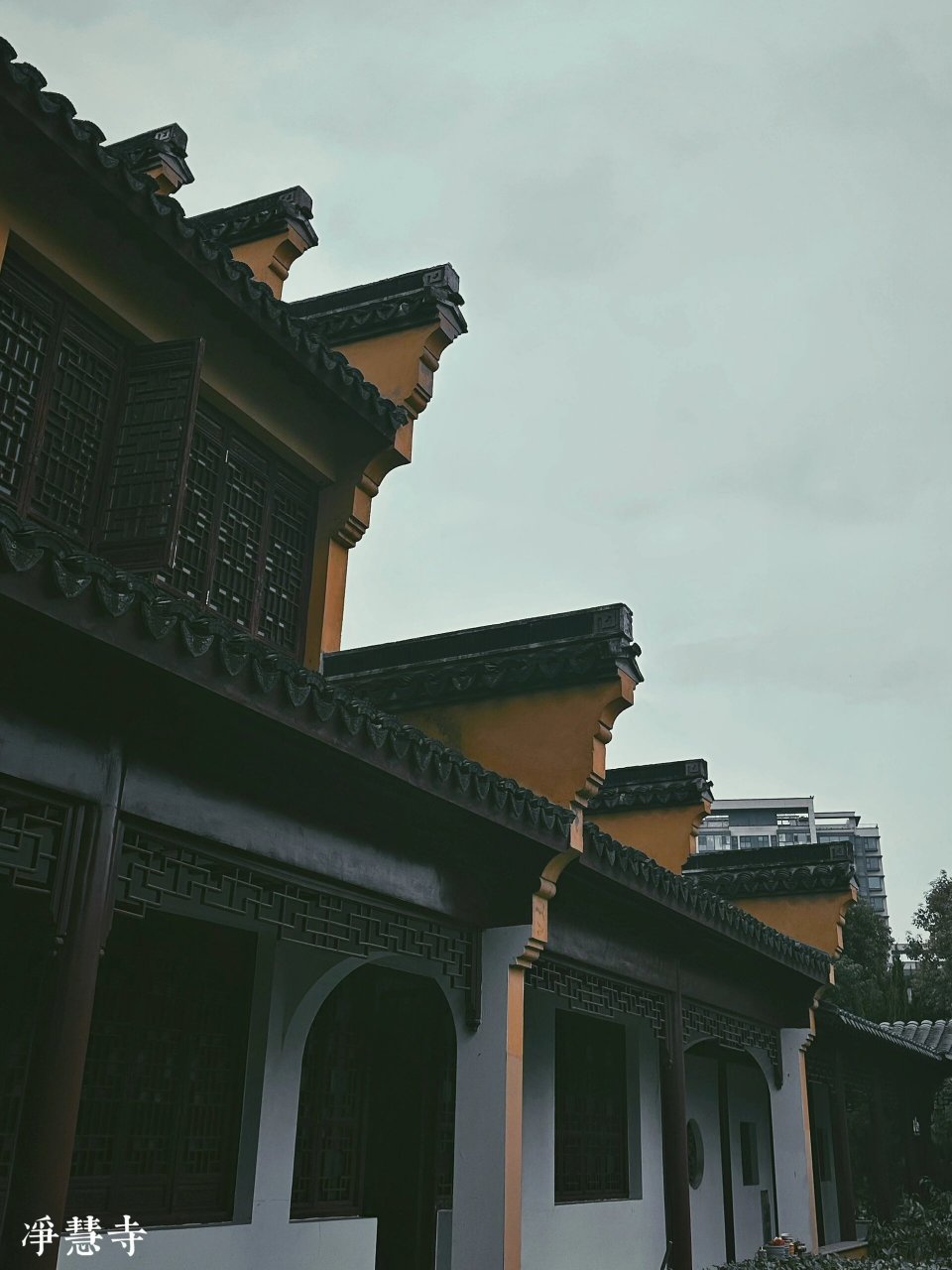 无锡净慧寺图片