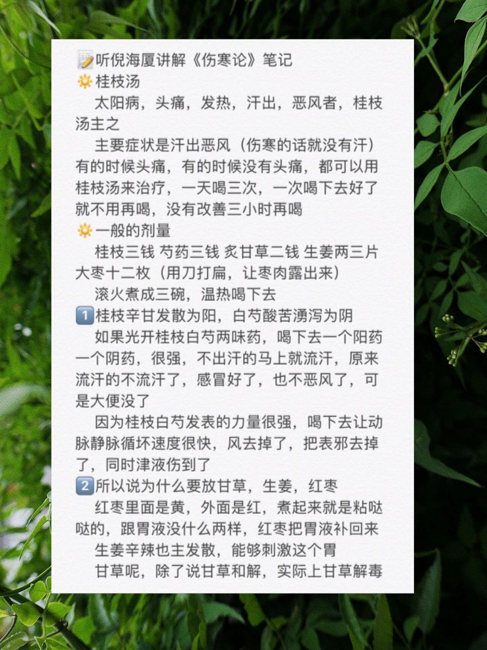 桂枝姜苓汤方解图片