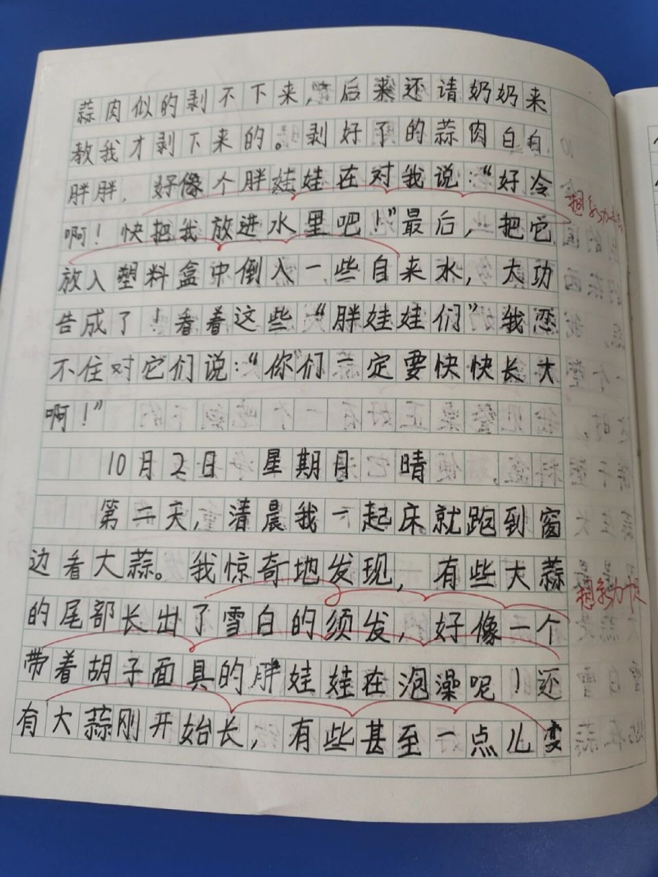 观察大蒜7天后日记400字(大蒜观察日记7天作文400字)
