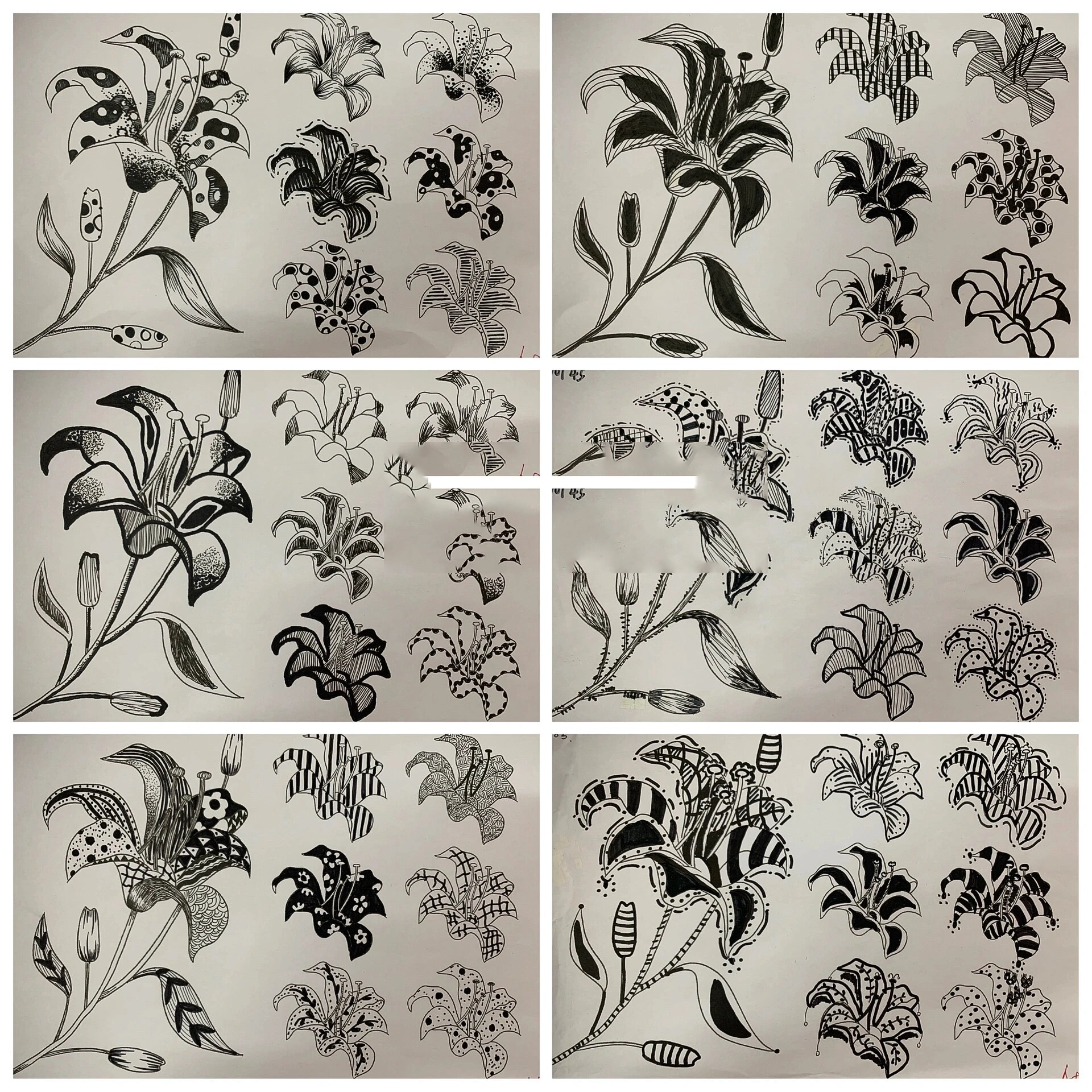 初中美术《扮靓生活的花卉纹样》作业分享1