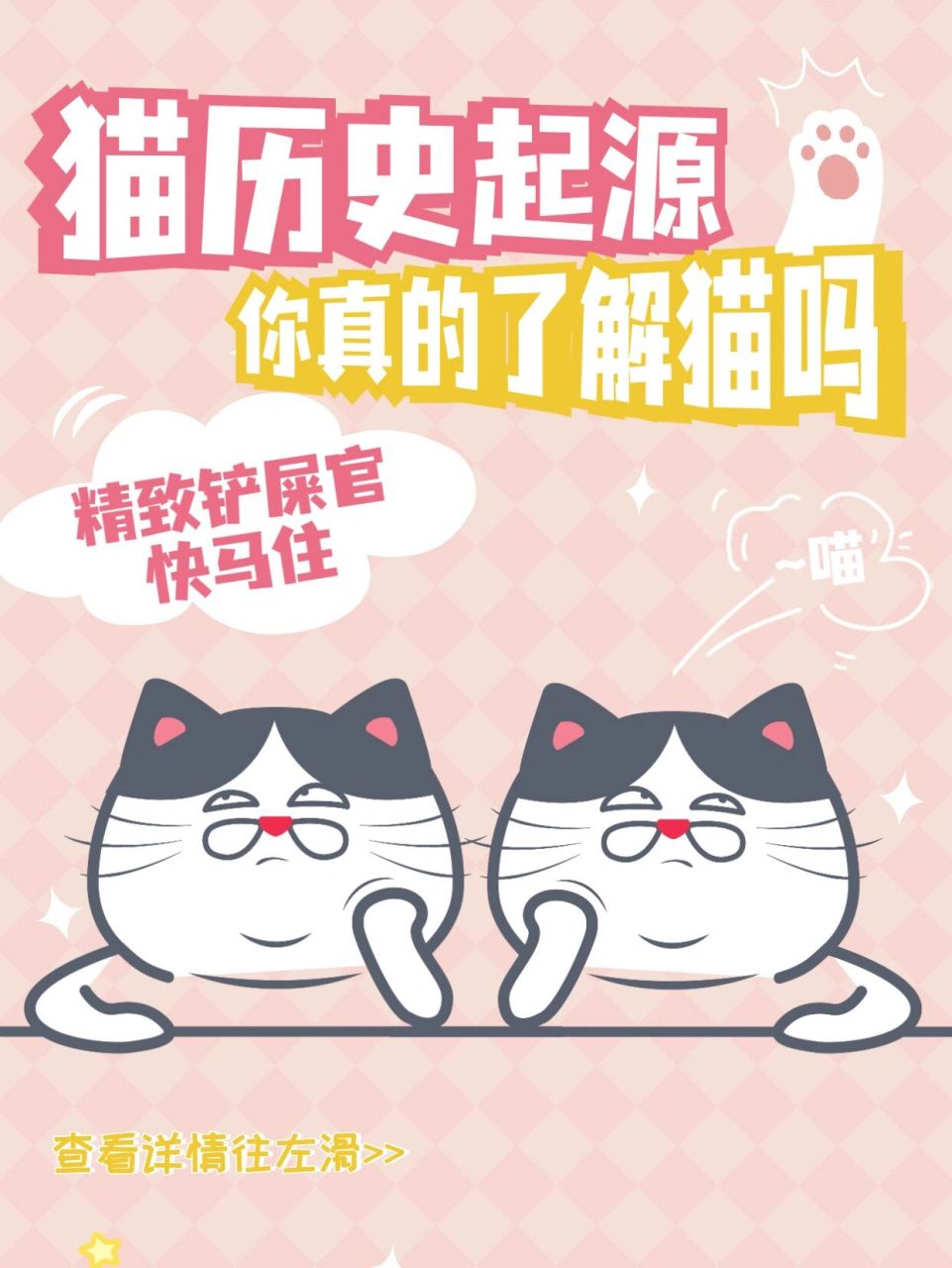 猫咪历史起源(上集) 78猫是常见的家养动物,但是并没有完全的被训化