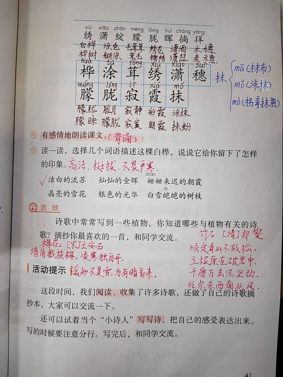 四年级下册语文第11课《白桦》课文笔记