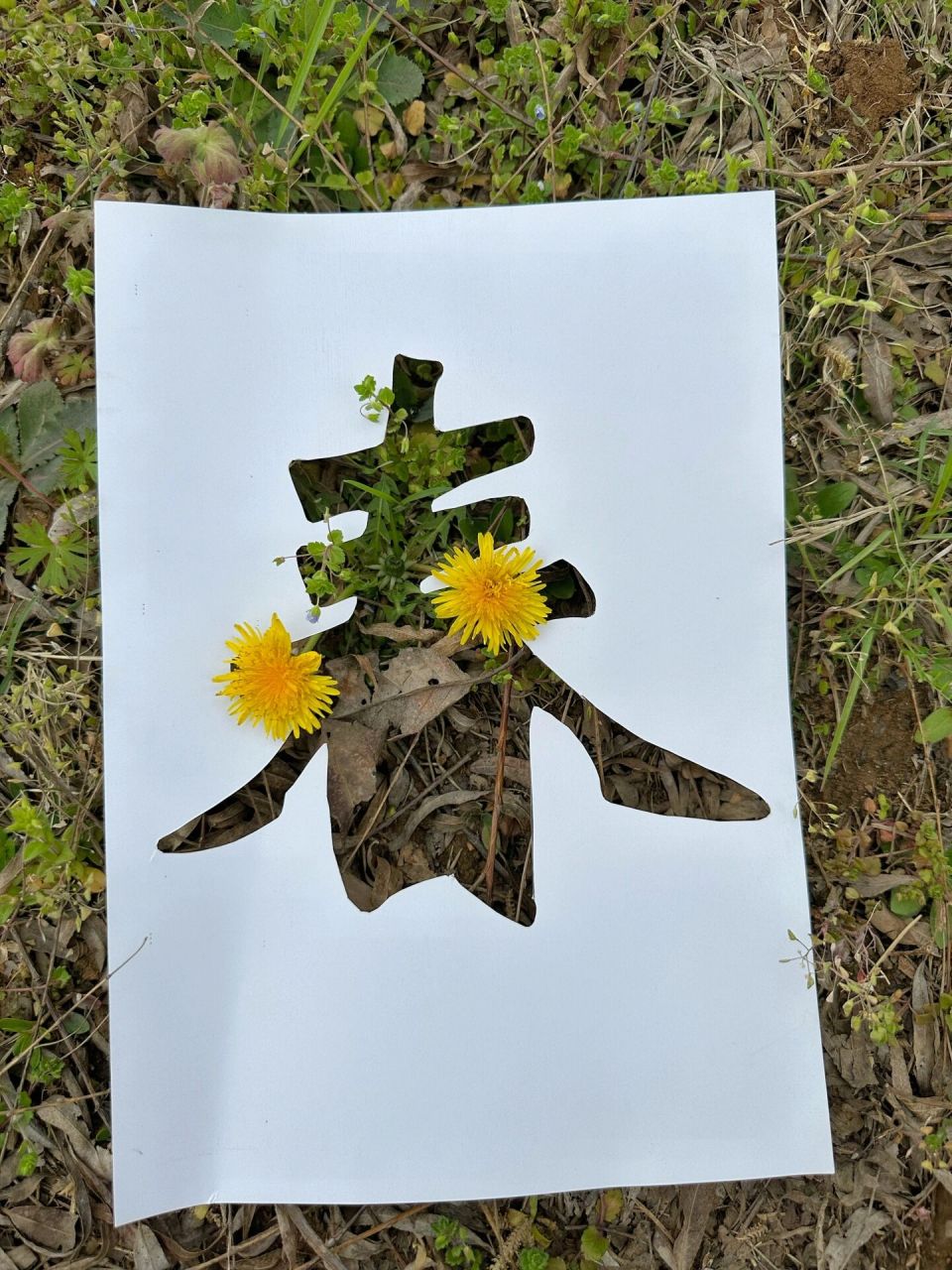 一个简单镂空春字 确实能装春天751596   看 跟风的 确实很好看