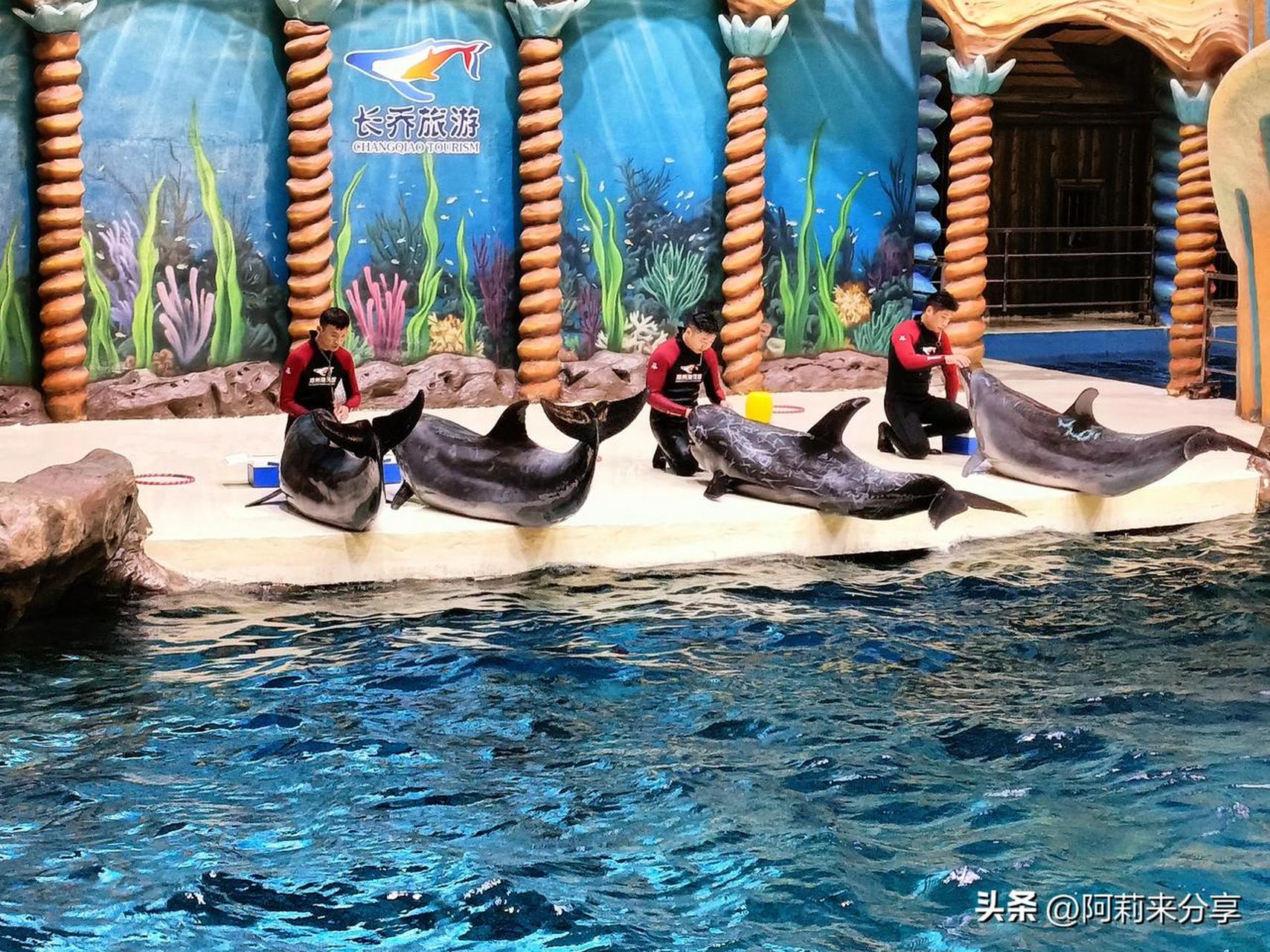 河南～郑州海洋馆,夏天溜娃好去处!