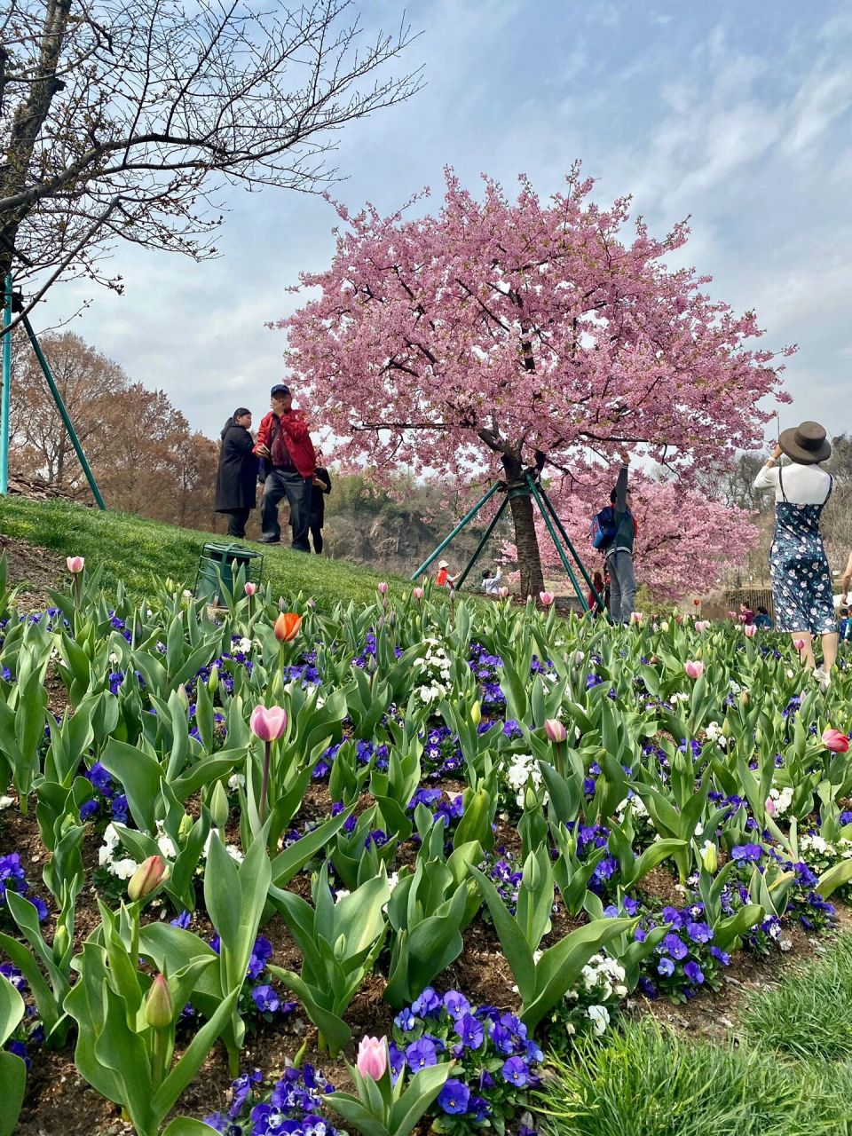 上海近郊-松江一日游攻略 三八妇女节公司放假了,于是约了个顺风车去