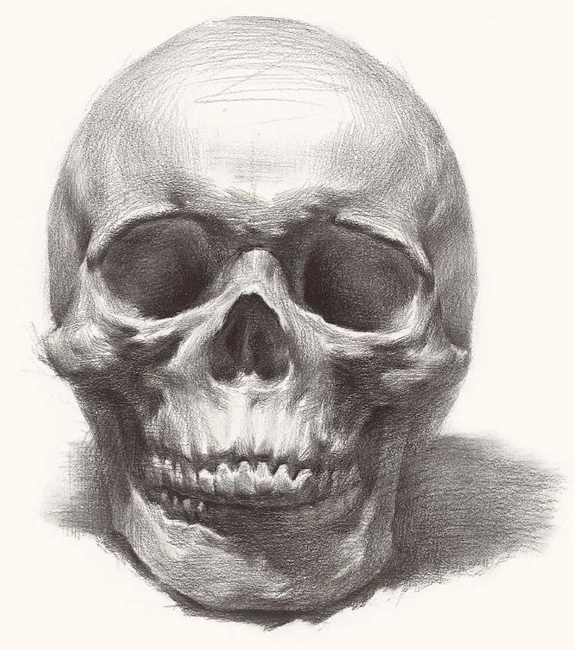 一些人头像骨头的结构关系,这样对后期素描人头像的刻画是有帮助的