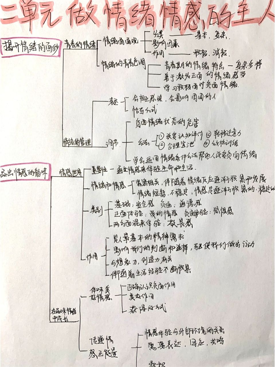 政治手抄报初三下册图片