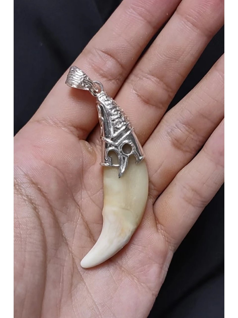 辟邪收藏 | 齿 一颗混血二代左上,一颗铁包金藏獒右上,包银完成.