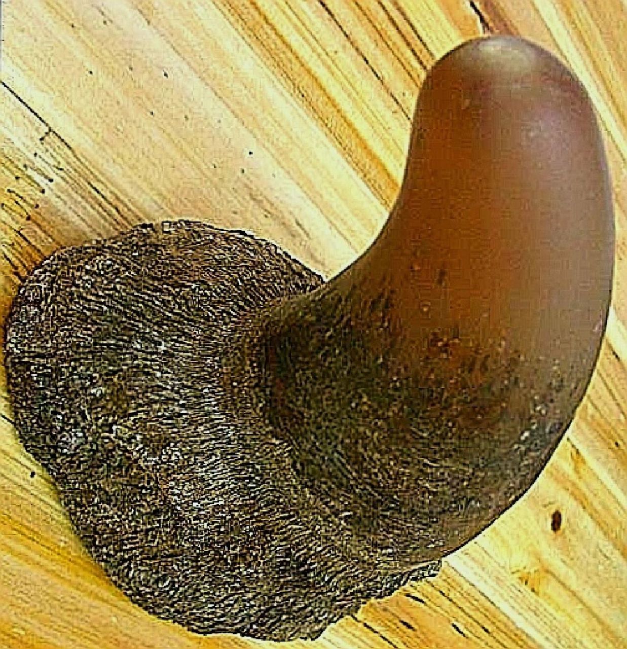 犀牛角与水牛角在药效的不同 水牛角和犀牛角都被认为有一定的药用