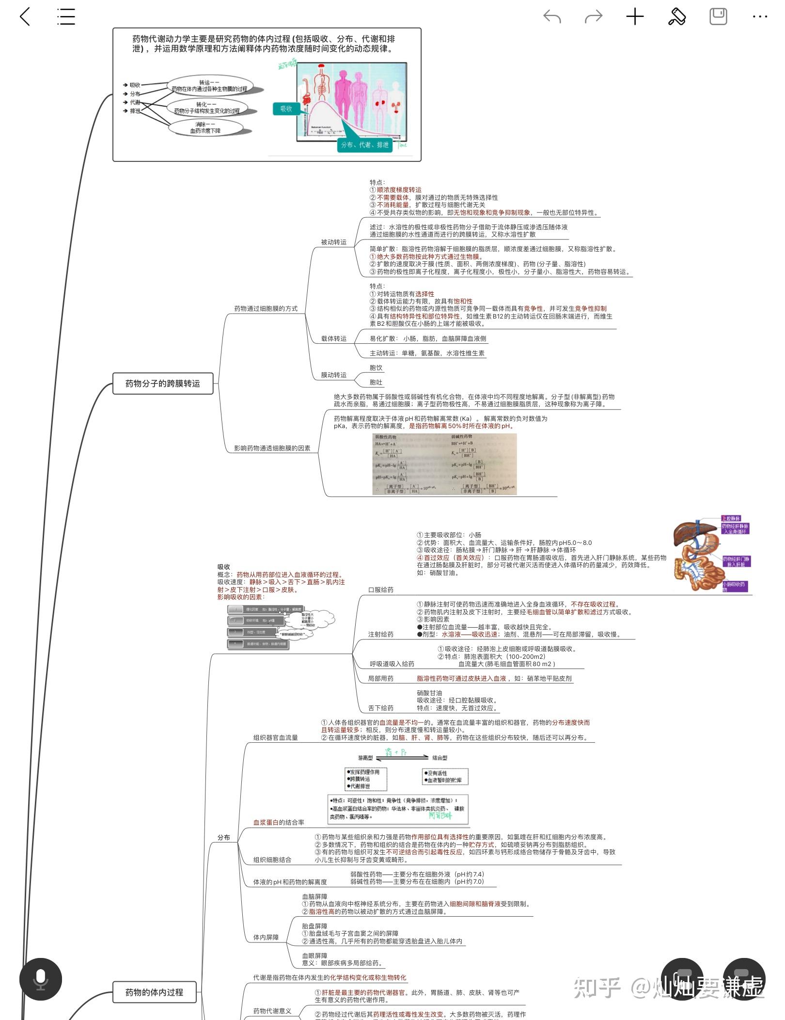 药理学章节思维导图图片