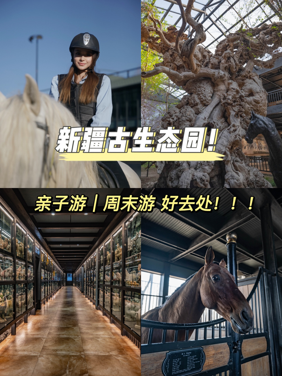 野马古生态园 如果你对马文化有着浓厚兴趣,亦或者想在节假日感受