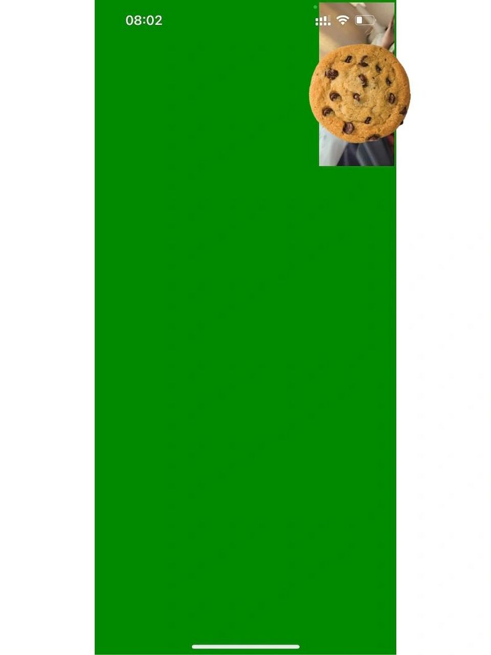 苹果手机  苹果手机今天早上打视频突然间就闪绿屏闪了两下就恢复正常