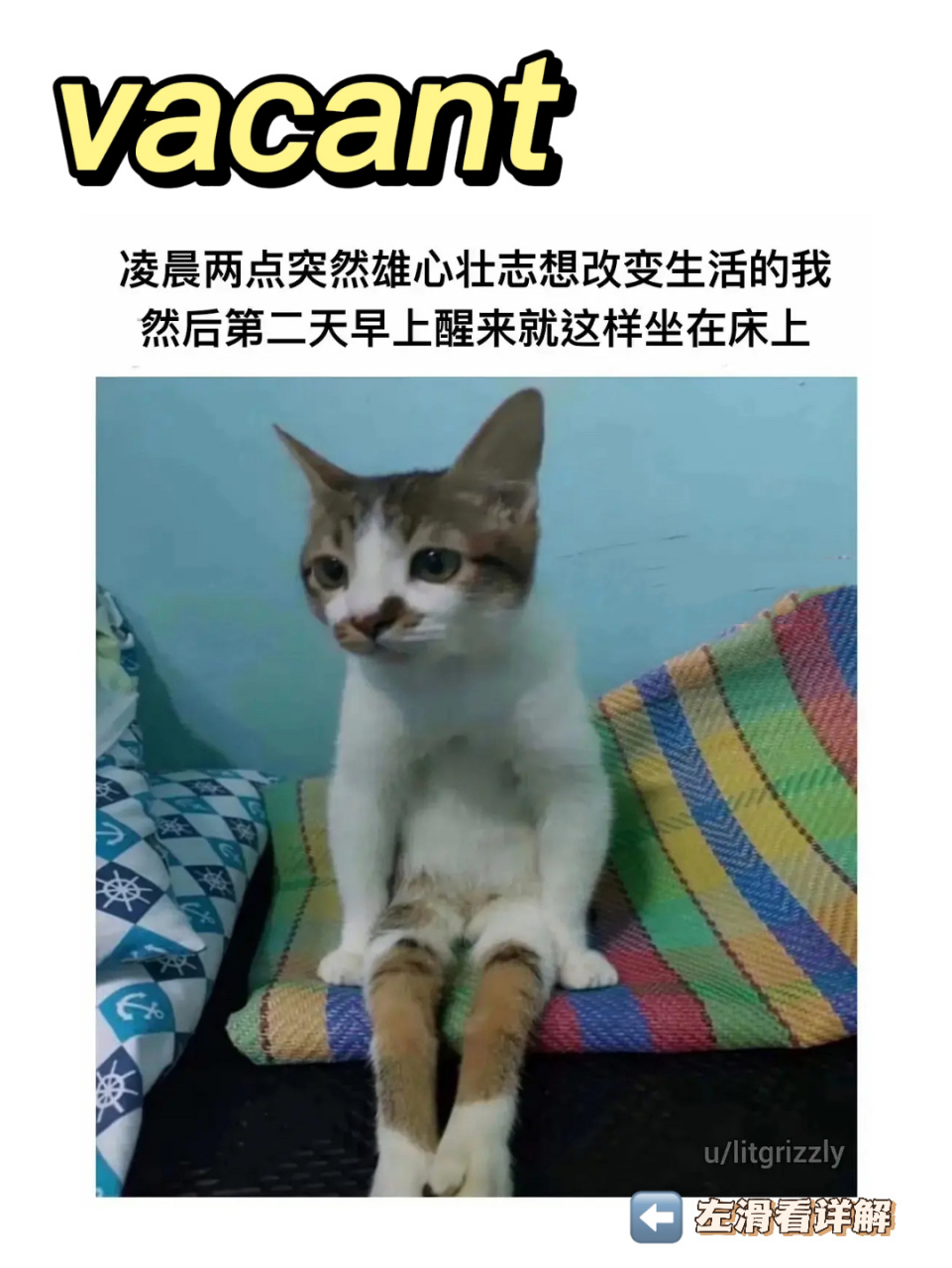 vacant 92 (of a look, an expression, etc.