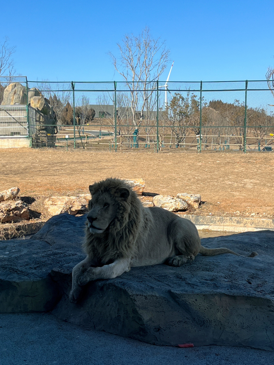 打卡徐州九顶山野生动物园009307 99关于位置:徐州市睢宁县