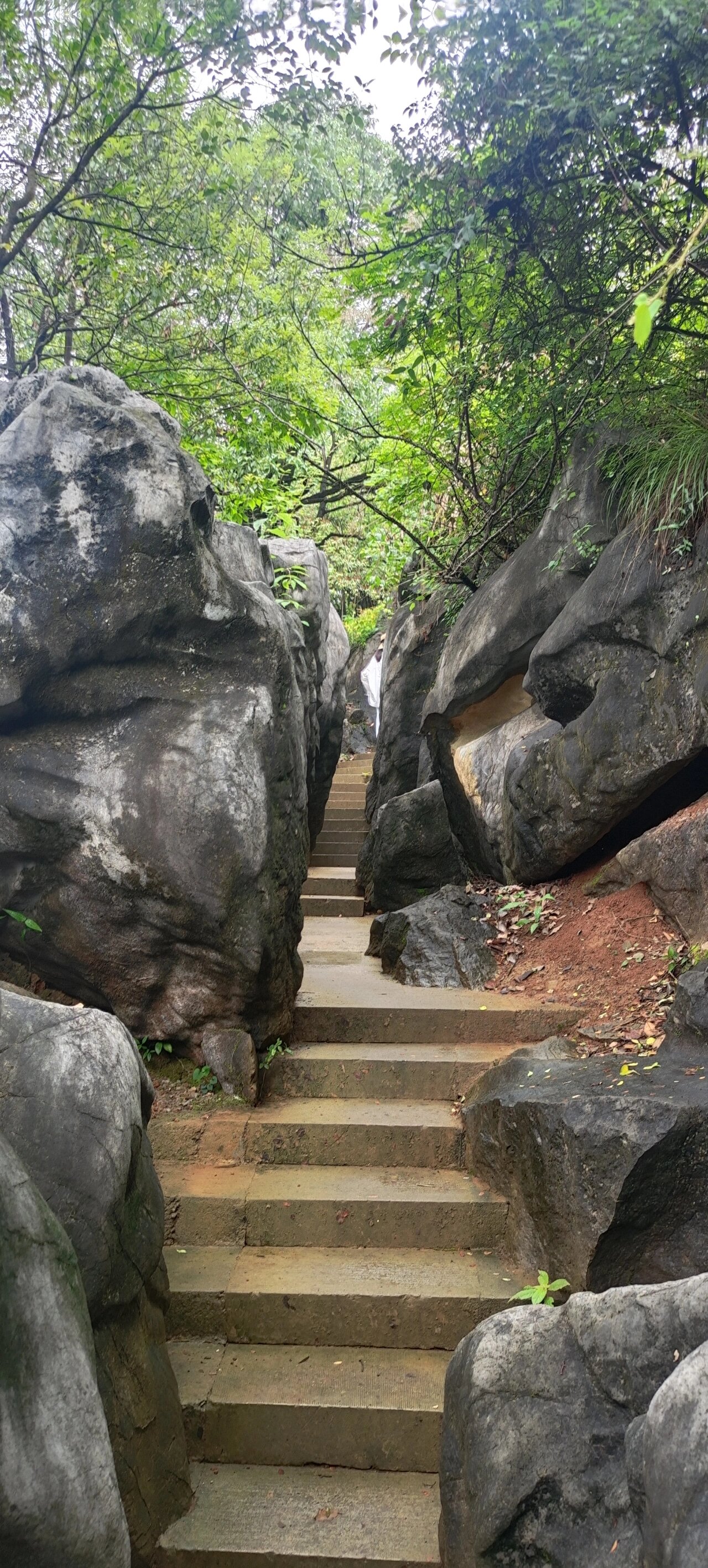 三衢石林风景区图片图片