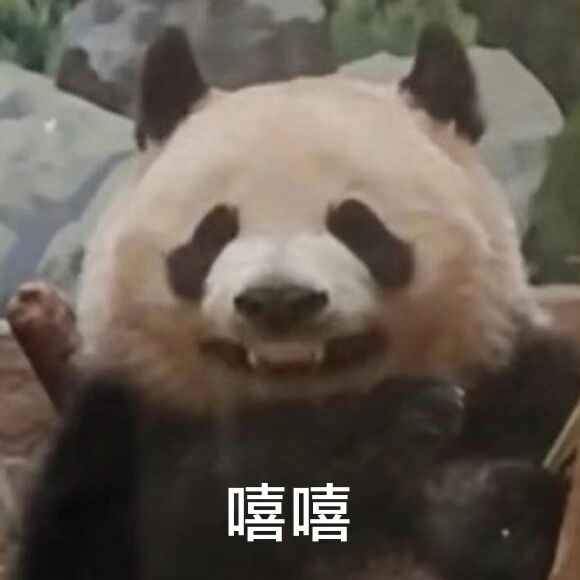 请不要嬉皮笑脸 最近熊猫中毒了,好许欢,自制一些表情包 	 原图源于