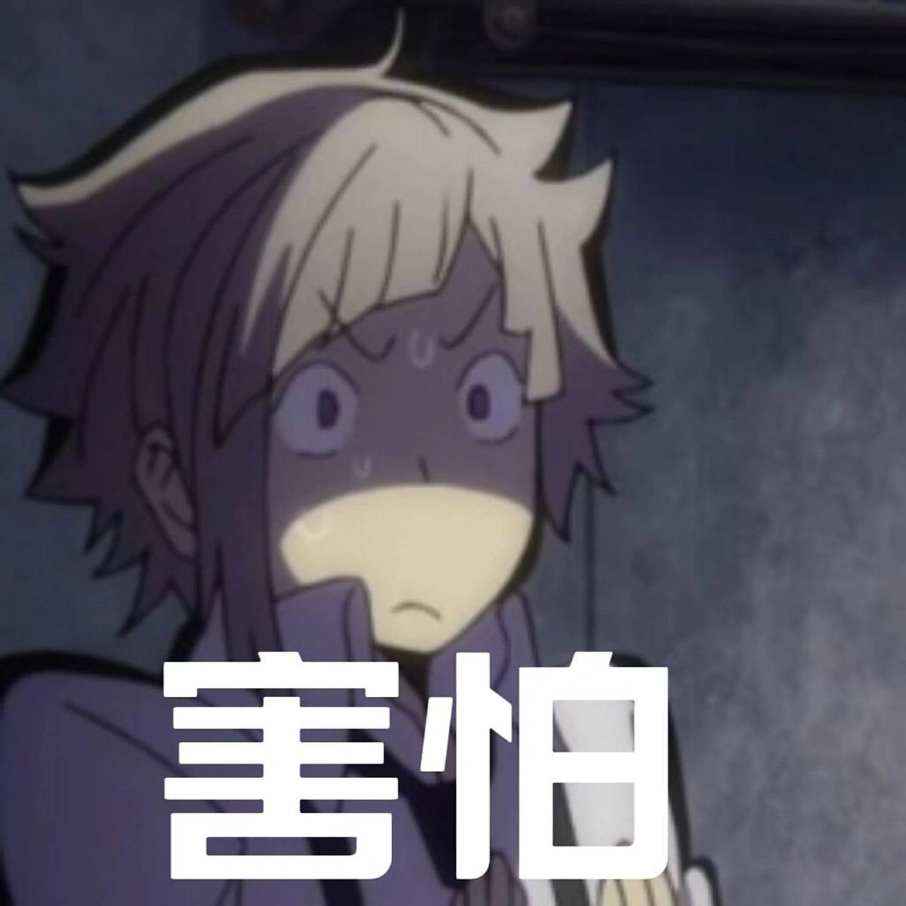 分享下文豪野犬表情包7215 前段时间刷文野截下了些表情包06