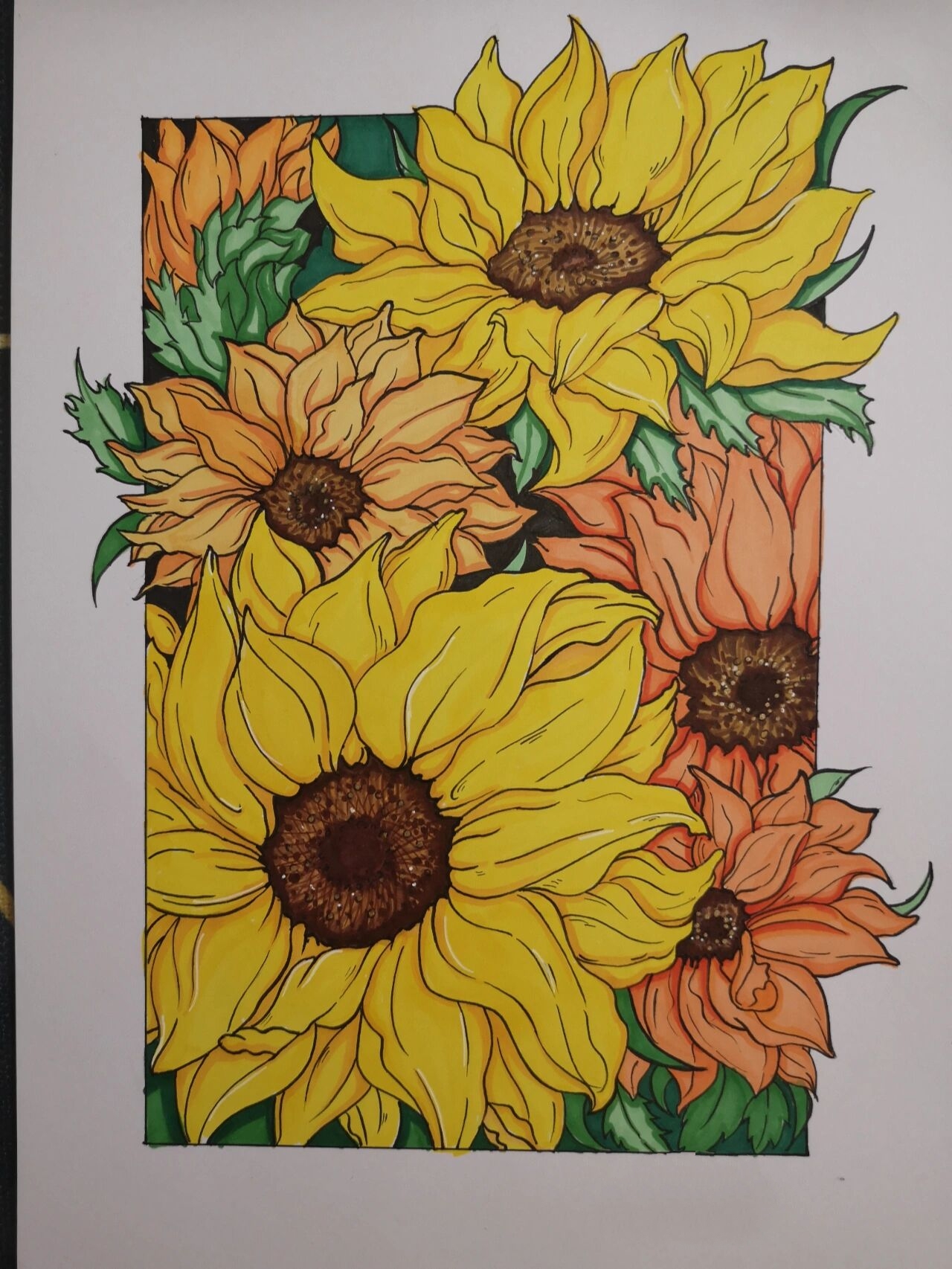 向日葵～马克笔 临摹一副喜欢的向日葵97 不涂色就是线描画,看着