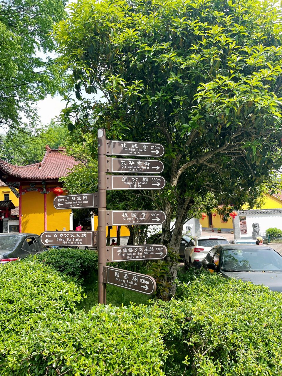 九华山拜佛文案 来之前满腹贪念 可真正现在身佛面前 脑子一片空白