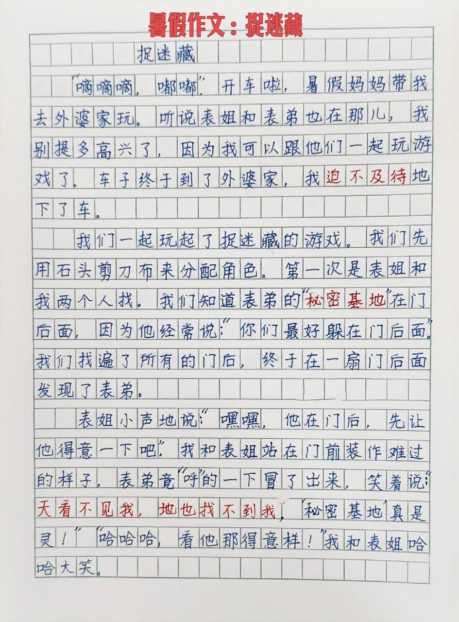 小学生暑假作文《捉迷藏》