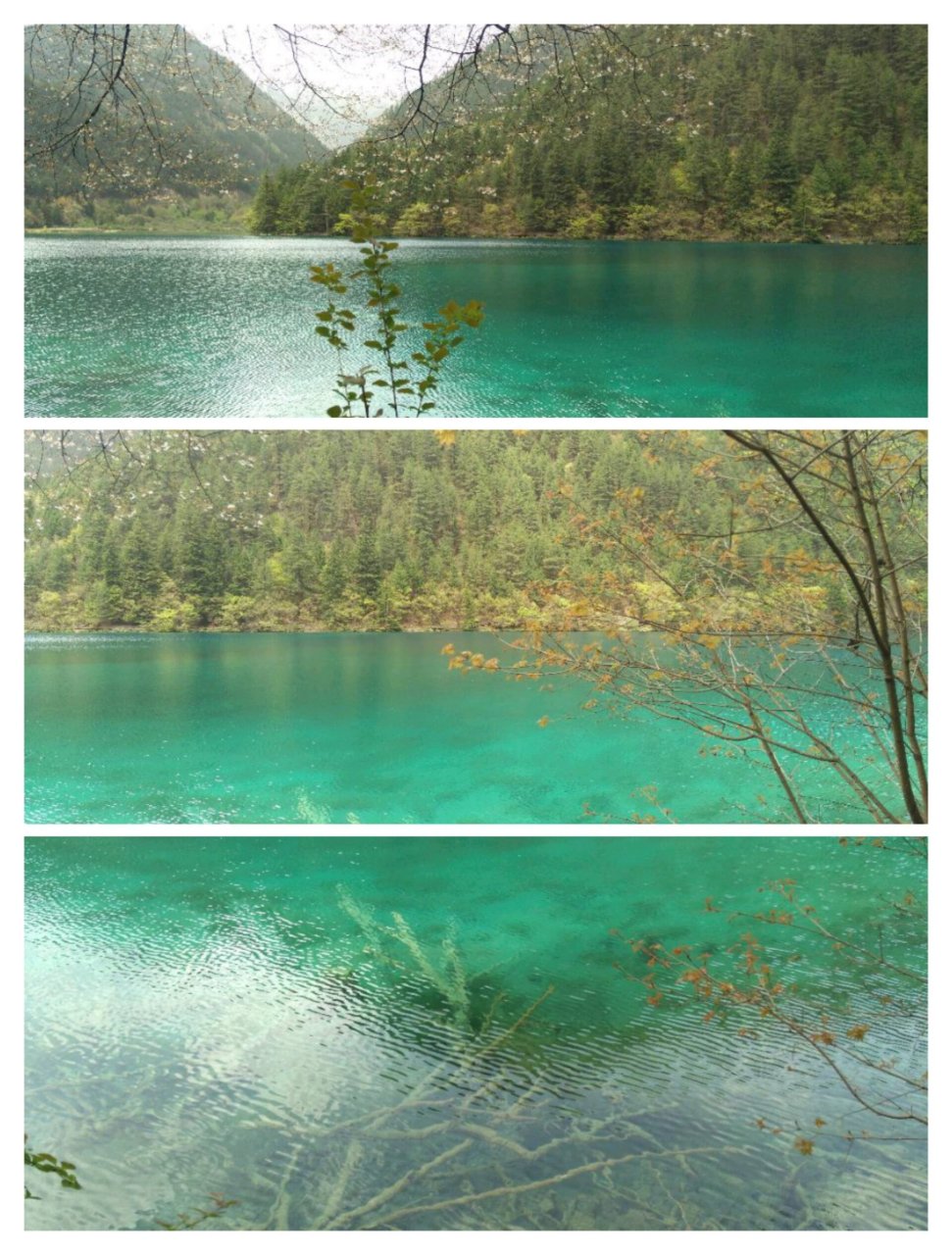 九寨沟2016,镜海 镜海是由于湖面静如镜面而得名.