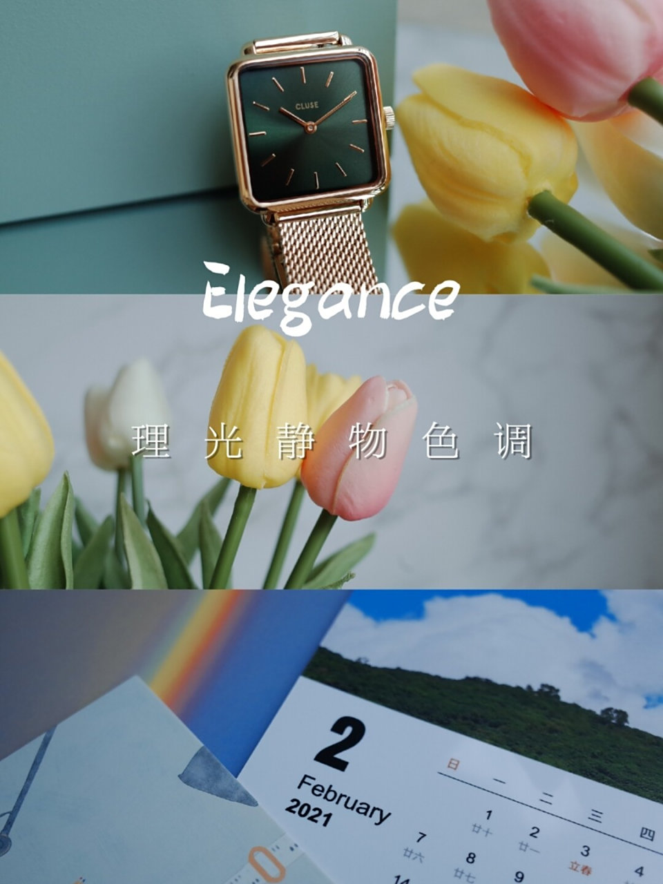 理光gr2参数92优雅电影感青绿静物色调 用理光相机拍照的盆友们看