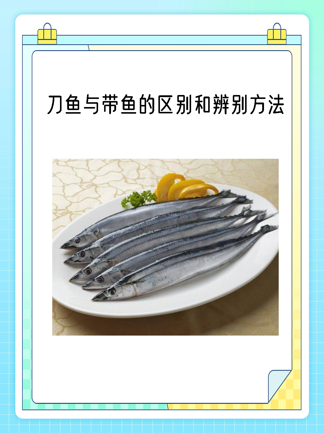 刀鱼与带鱼的区别和辨别方法