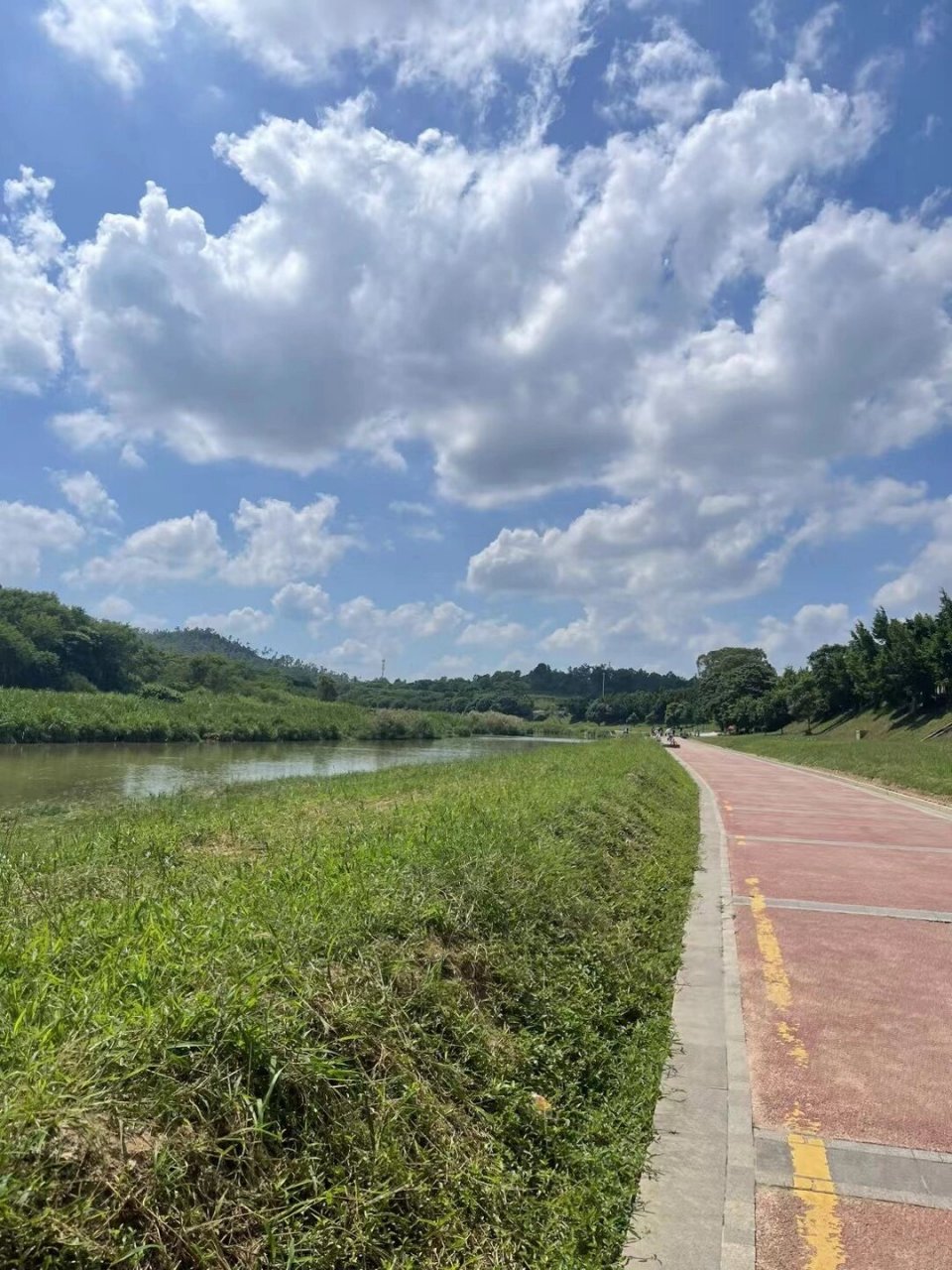 深圳龙岗湿地公园路亚大鲶鱼 今天周末吃完早餐就来到了坪地湿地公园