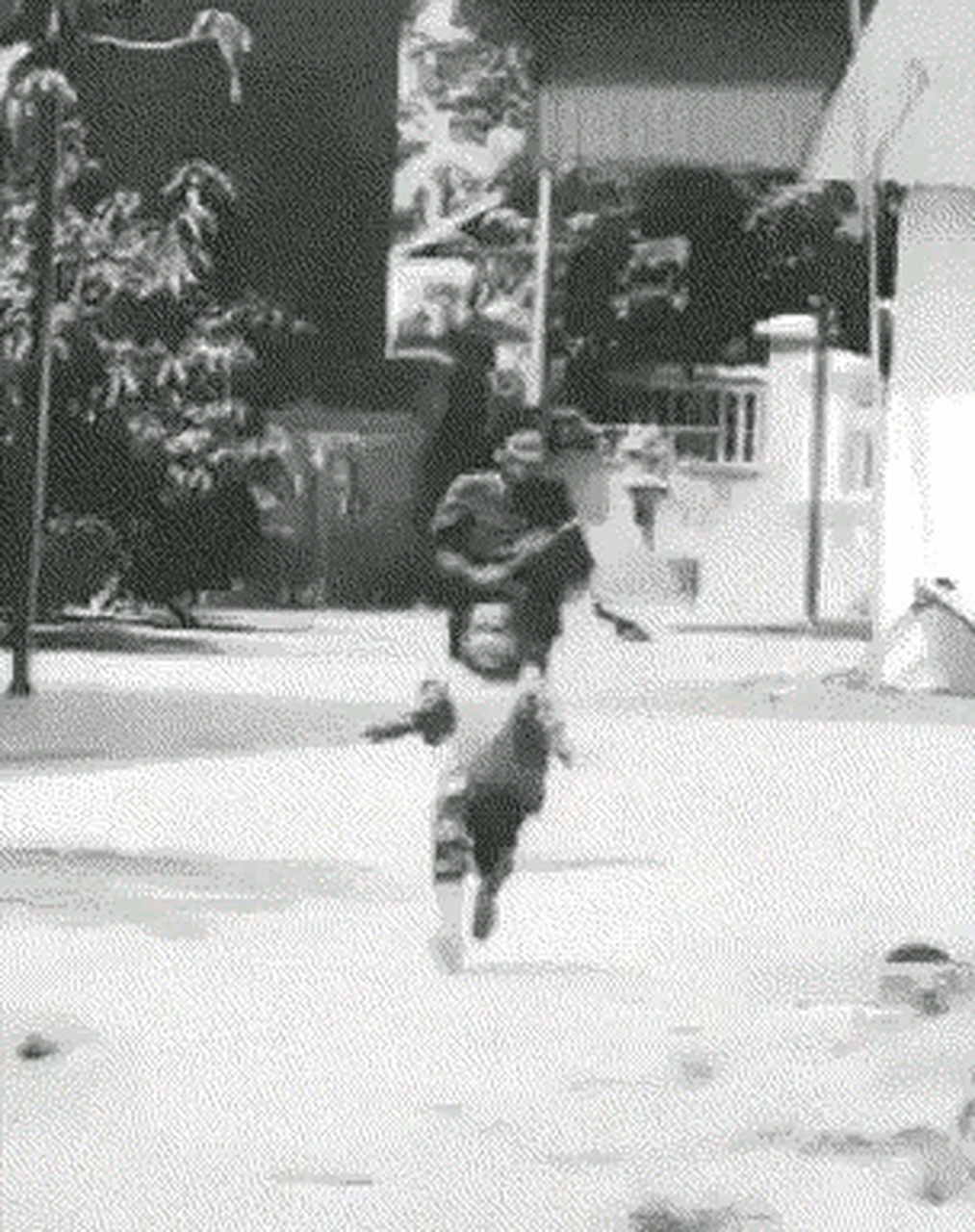 不过这个妈妈追熊孩子的画面咋这么熟悉.