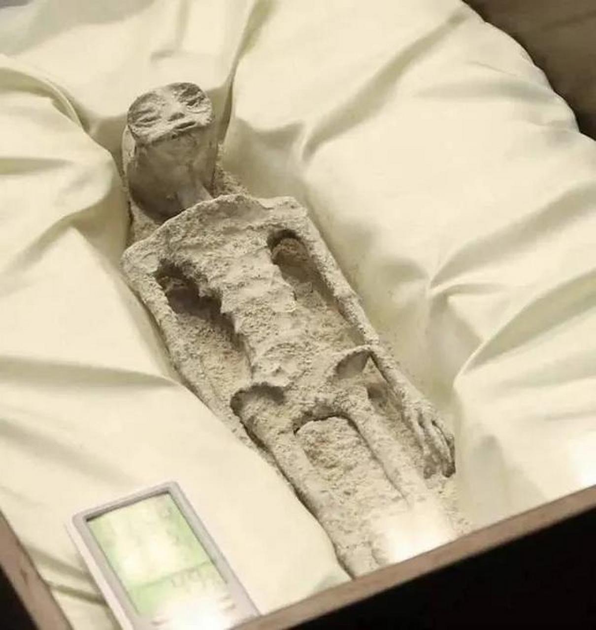 14具外星人木乃伊尸体在墨西哥展出后,美联社报道揭示了一个令人震惊