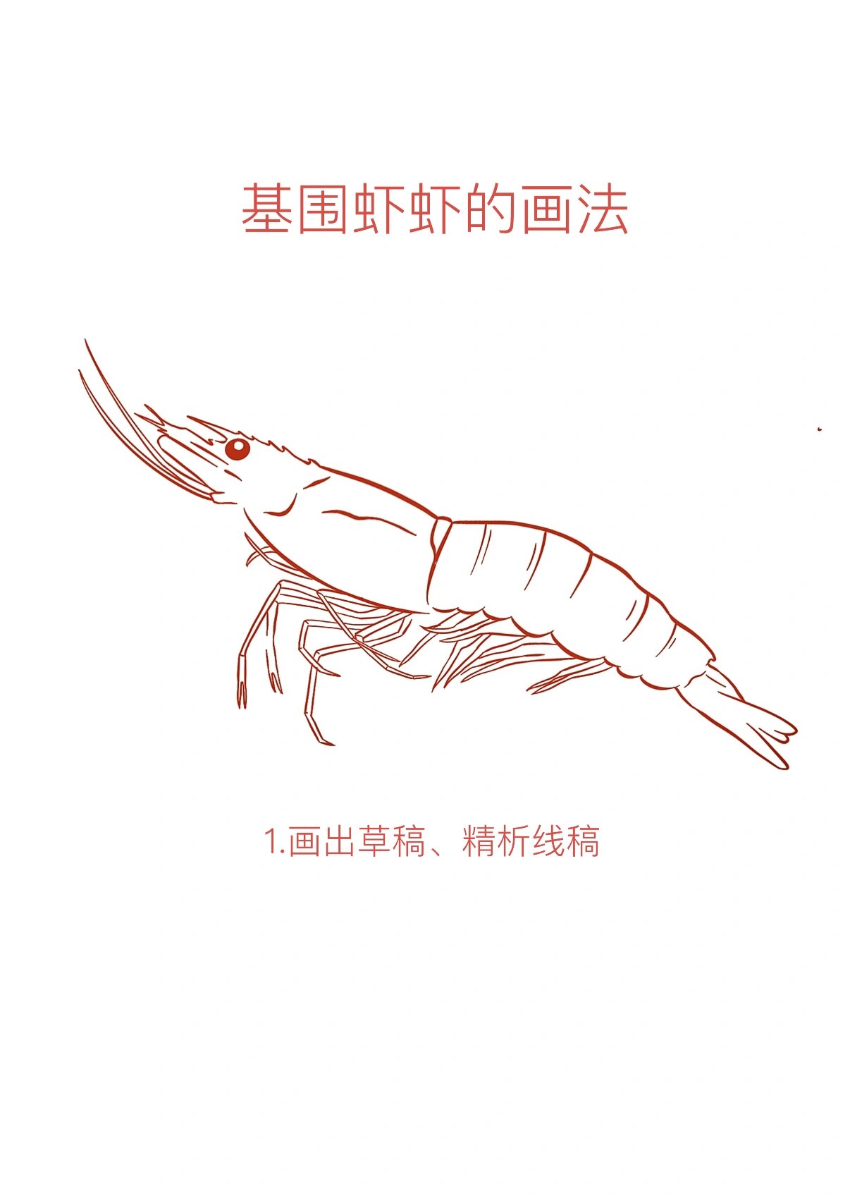 基围虾的画法|绘画教程