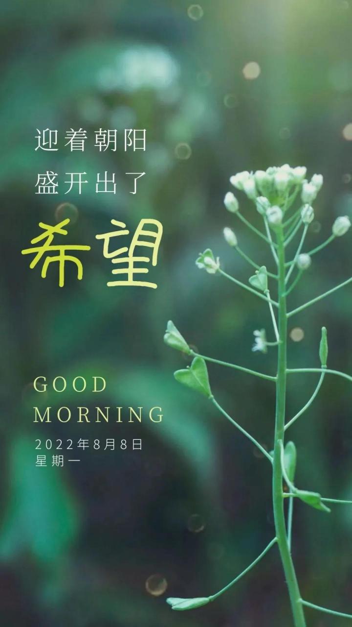最好的时光在路上,最美的自己在远方