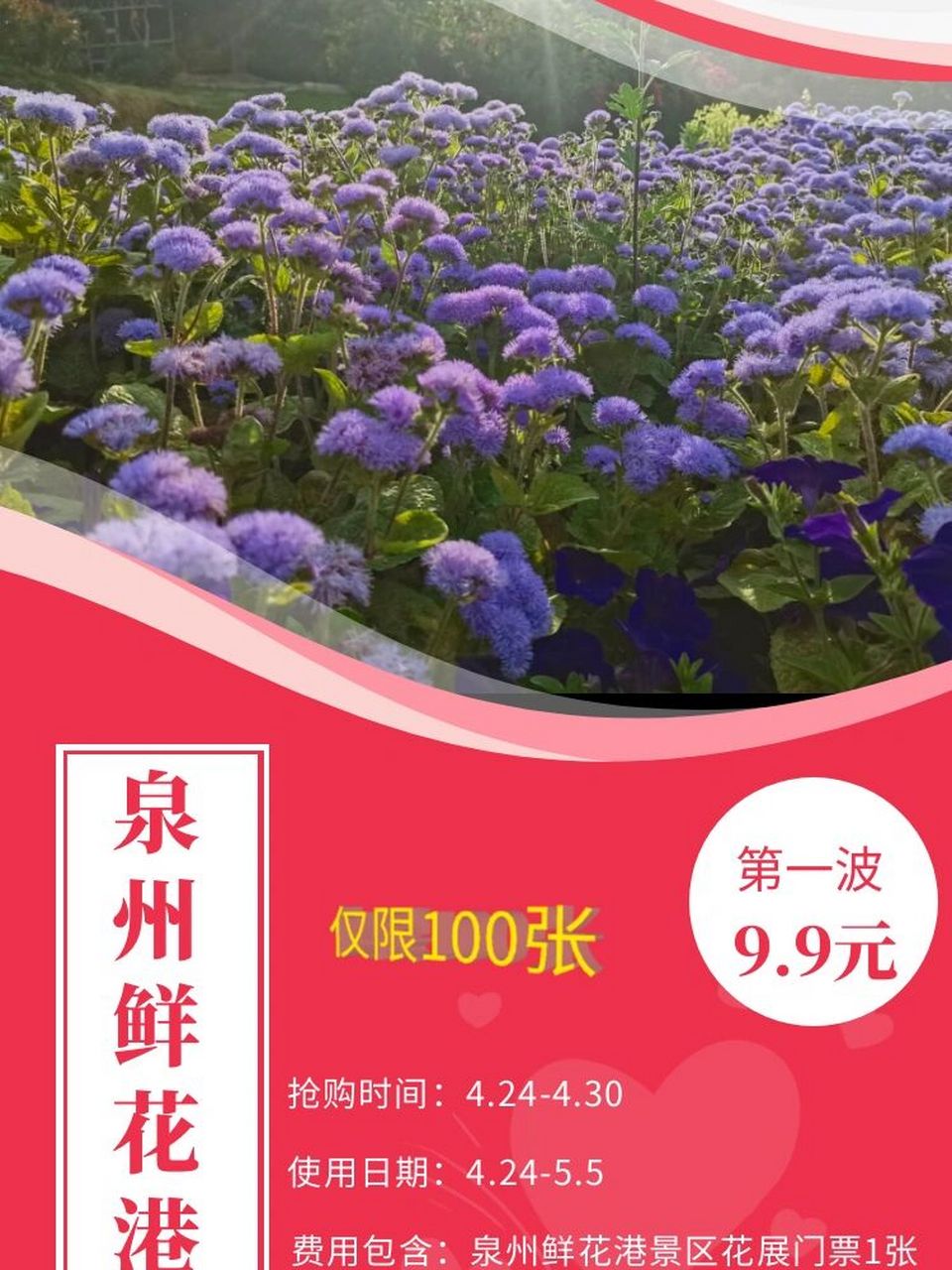 9.9元玩泉州鲜花港景区 97赏花啦!